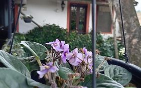 Hotel Boutique Casabella
